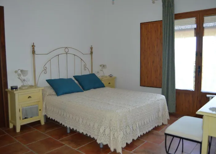 El Olivo Del Moreno